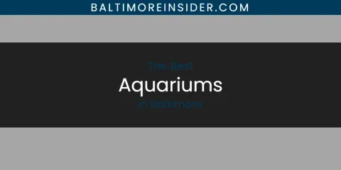 Discover the Best Aquariums in Baltimore
