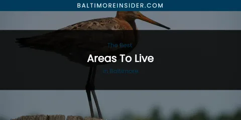 The Absolute Best Areas to Live in Baltimore