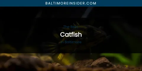 The Absolute Best Catfish in Baltimore