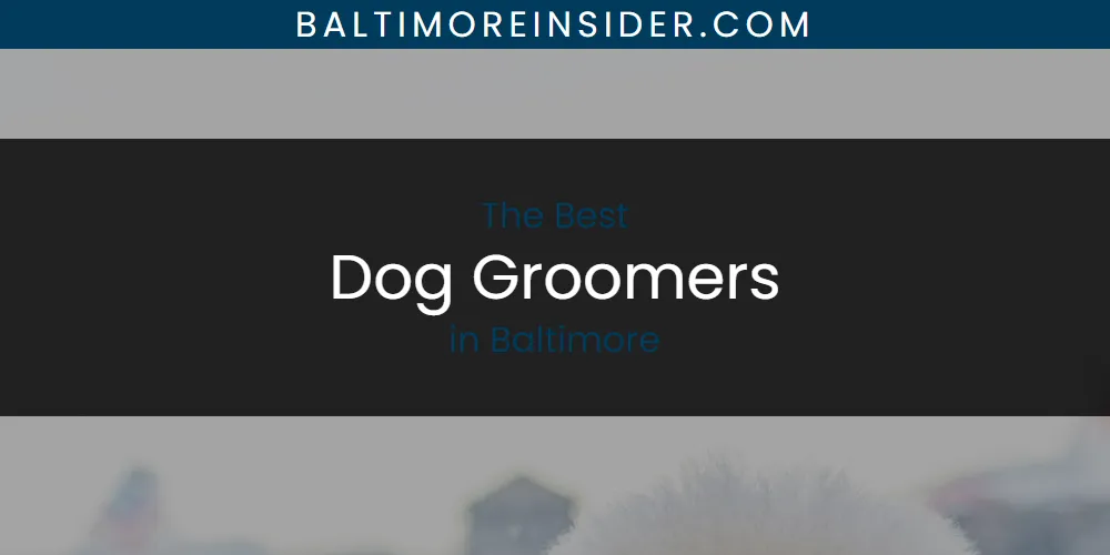 2026 Guide to Best Dog Groomers in Baltimore