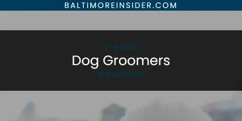 Guide to Best Dog Groomers in Baltimore