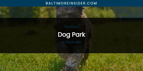 Rockville's Best Dog Park