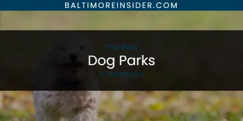 The Absolute Best Dog Parks in Baltimore