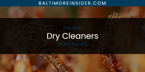 The Absolute Best Dry Cleaners in Annapolis