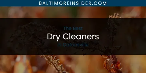 The Absolute Best Dry Cleaners in Catonsville