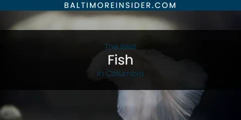 The Absolute Best Fish in Columbia