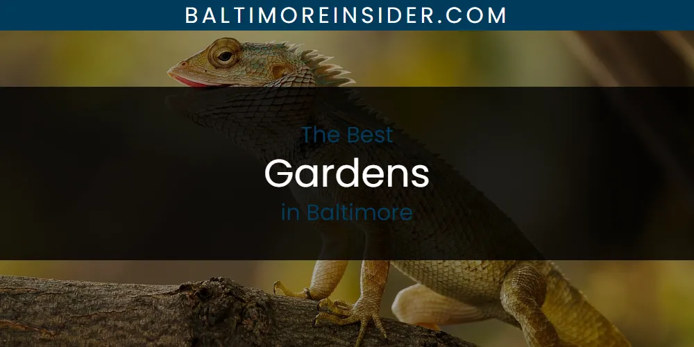 The Absolute Best Gardens in Baltimore  [Updated 2025]