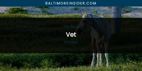 The Absolute Best Vet in Essex